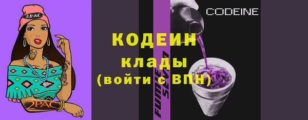 ГАЛЛЮЦИНОГЕННЫЕ ГРИБЫ Горно-Алтайск