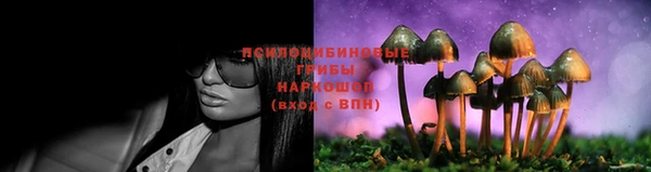 эйфоретик Гусь-Хрустальный