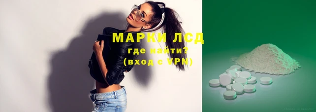 ГАЛЛЮЦИНОГЕННЫЕ ГРИБЫ Горно-Алтайск