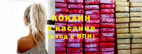 эйфоретик Гусь-Хрустальный