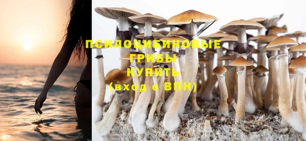 ГАЛЛЮЦИНОГЕННЫЕ ГРИБЫ Горно-Алтайск