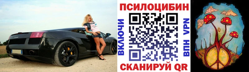 Галлюциногенные грибы прущие грибы  Чердынь 